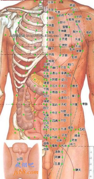 高清人体穴位图：针灸戒烟法