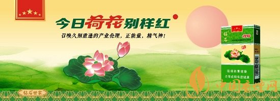 比排名全国前5更重要的是，荷花已经构建起自己的体系