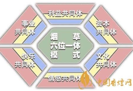 烟草高质量发展需要注意什么 烟草质量发展的秘笈介绍