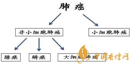 抽烟会引起肺癌吗 吸烟是导致肺癌主要因素