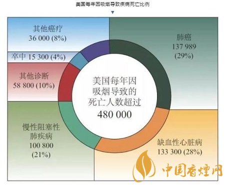 吸烟是造成肺癌的主要原因 吸烟的真实危害分析！