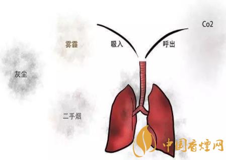 多少岁戒烟肺部可以恢复正常 戒烟成功需要注意的几点细节