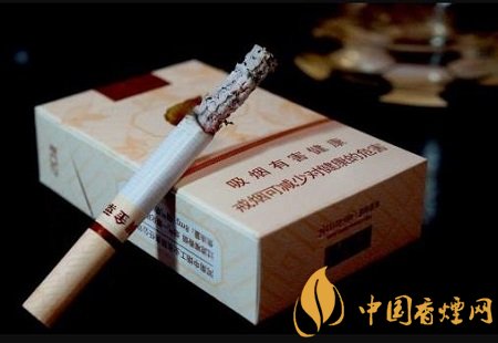 香烟的烟支粗细和危害有关吗，其实这才是真相！