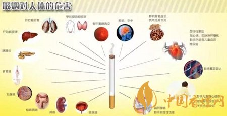 香烟是如何让人上瘾的 成瘾主要有这几点特征