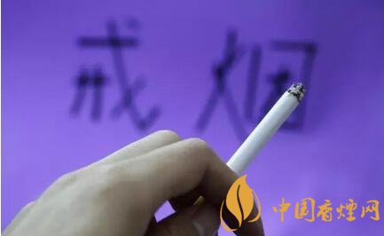 吸烟一年和戒烟十年身体变化对比 戒烟更好