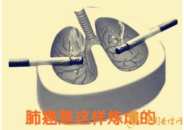 吸烟致癌吗(还会引起急性中毒) 吸烟致癌有科学依据