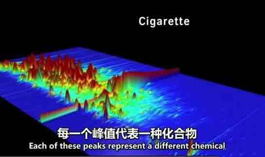 吸电子烟对人有害吗