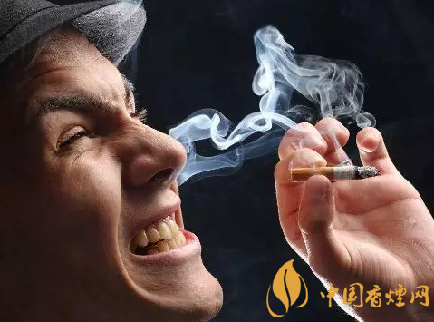 适量抽烟对身体有好处是真的！（官方正解）