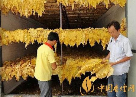 烤好优质卷烟需要注意什么 山东淄博市从四方面开始管控