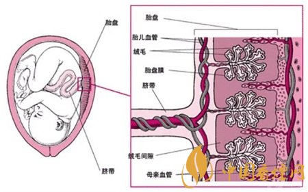 烟草对婴儿的伤害有哪些 科学家已证明实际危害