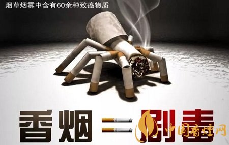 香烟里面有什么成分，仅是有毒物质就到上千种