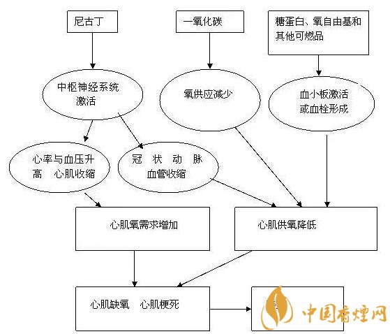 吸烟的危害：揭秘吸烟对心脏产生的种种危害