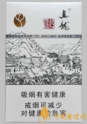 真龙起源金茶花版价格表 金茶花与烟草结合的产品