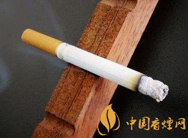 娇子硬龙凤呈祥价格及参数 整合后重装归来