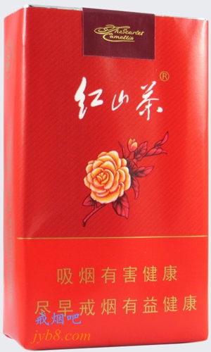 红山茶（软）价格和图片