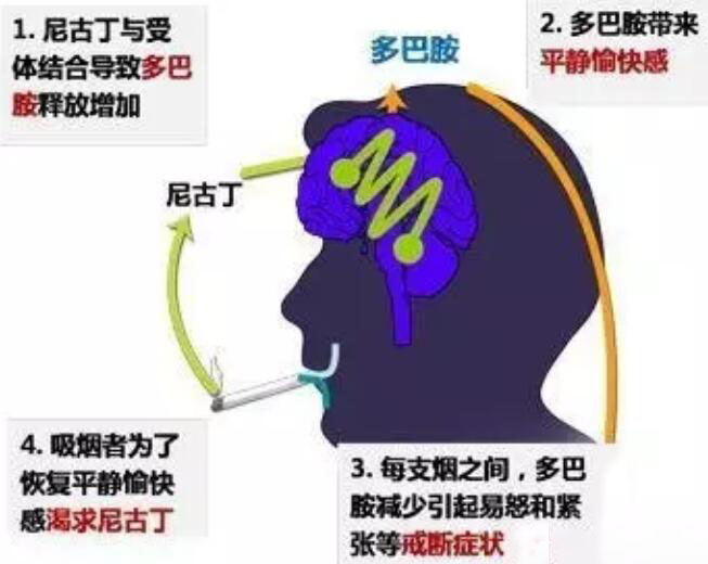 电子烟戒烟有用的第一个实质性证据