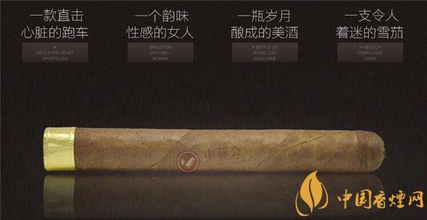 大卫杜夫雪茄(金装名士)价格表图 大卫杜夫金装名士雪茄多少钱