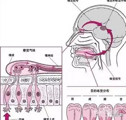 使用电子烟患了“蒸汽舌头”怎么办